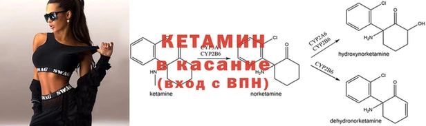 стаф Елизово