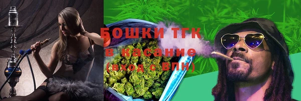 тгк Дмитров