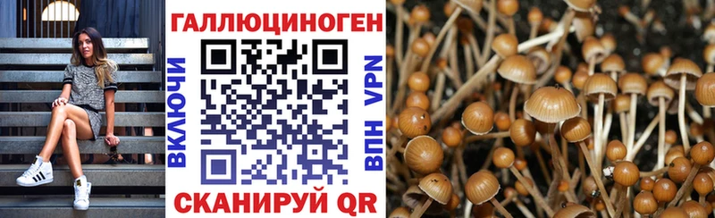 Галлюциногенные грибы Cubensis  ссылка на мегу ONION  Губкин  даркнет сайт 